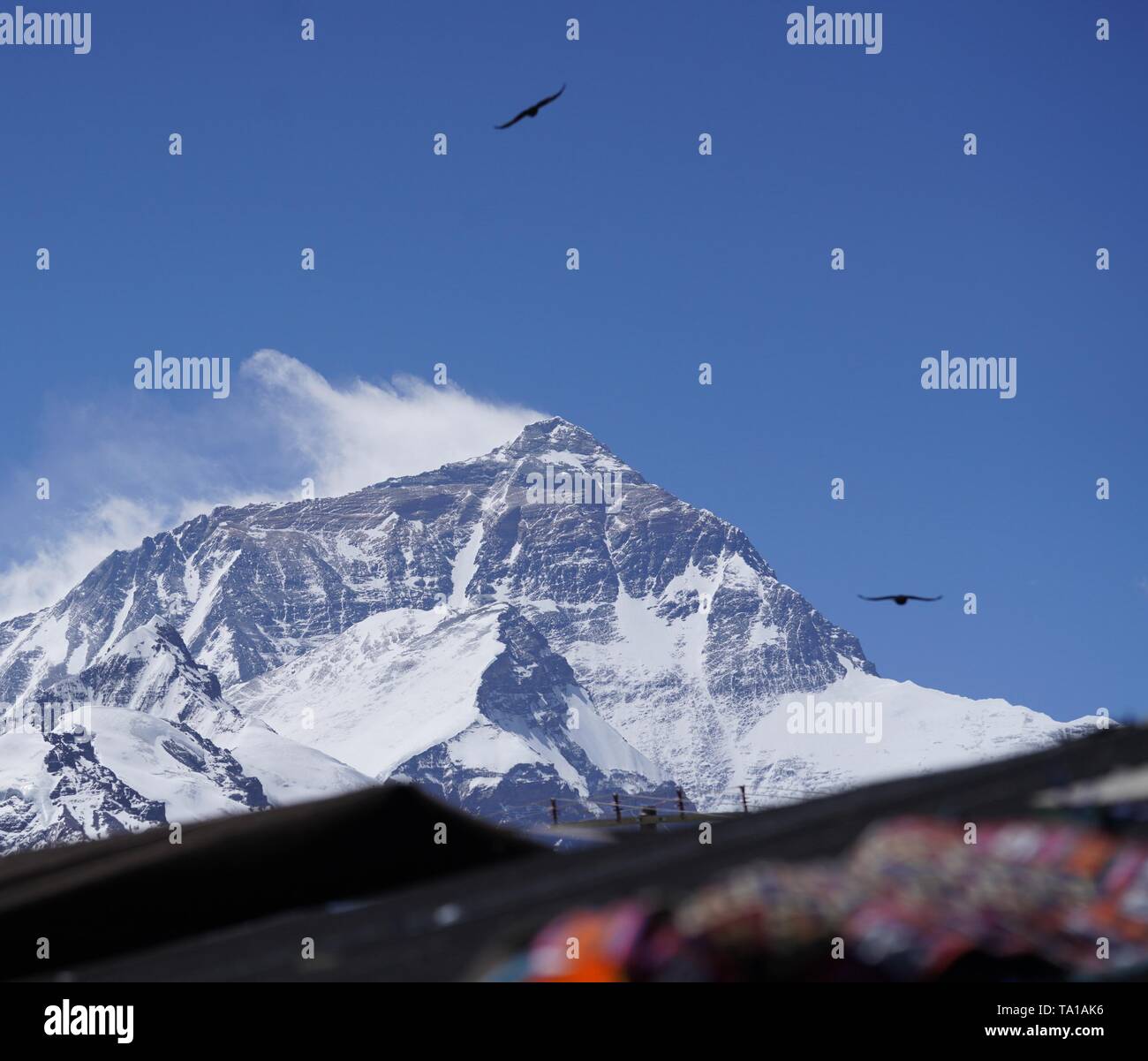 Xigaze. El 18 de mayo, 2019. Foto tomada el 18 de mayo de 2019 muestra el paisaje del Monte Qomolangma desde el campamento base en el suroeste de China la Región Autónoma del Tíbet. Los 8,844.43 metros de Mt. Qomolangma es el pico más alto del mundo. Crédito: Jigme Dorje/Xinhua/Alamy Live News Foto de stock