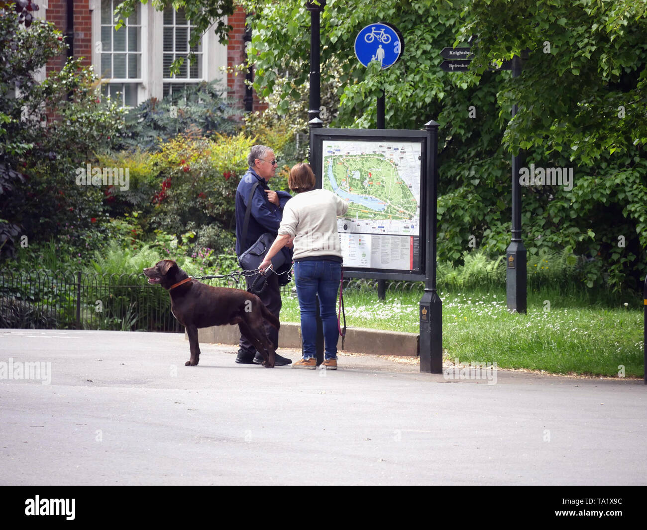 Pareja de mediana edad con perro Labrador marrón mirando un mapa de Hyde Park, Londres, Reino Unido. Foto de stock