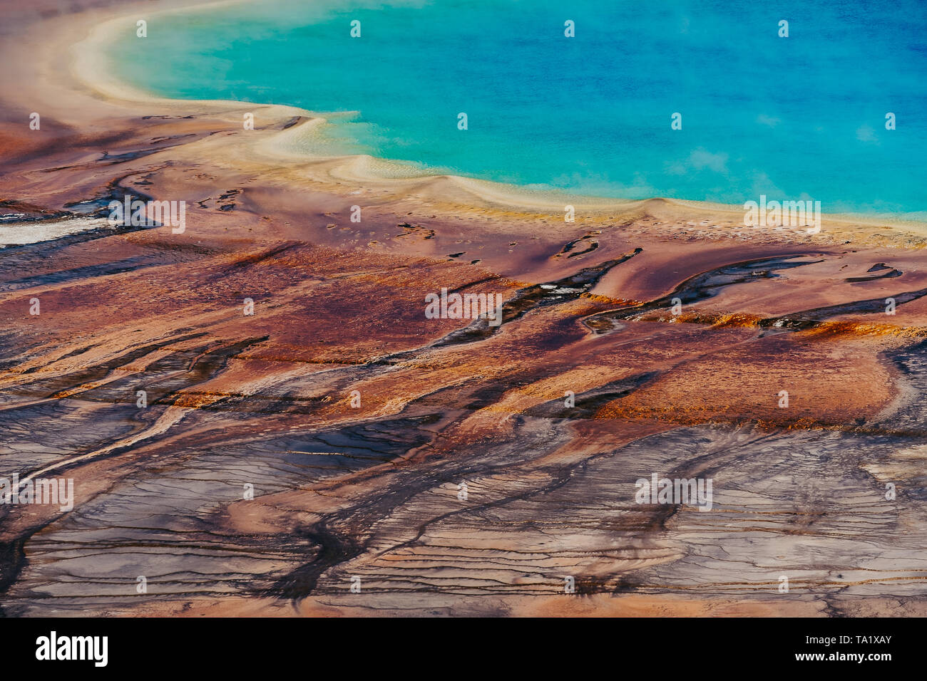 Foto detalle de Grand Prismatic Spring desde arriba. El Parque Nacional Yellowstone, Wyoming, EE.UU. Foto de stock