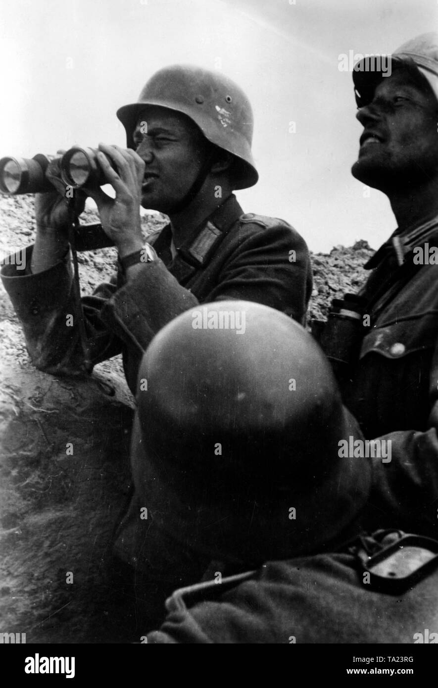 Soldados alemanes ver las posiciones enemigas desde una trinchera. Están ubicados en la región de Oryol (Orel) en la sección media del frente oriental. Foto de la Propaganda Company (PK): El corresponsal de guerra Kraayvanger. Foto de stock