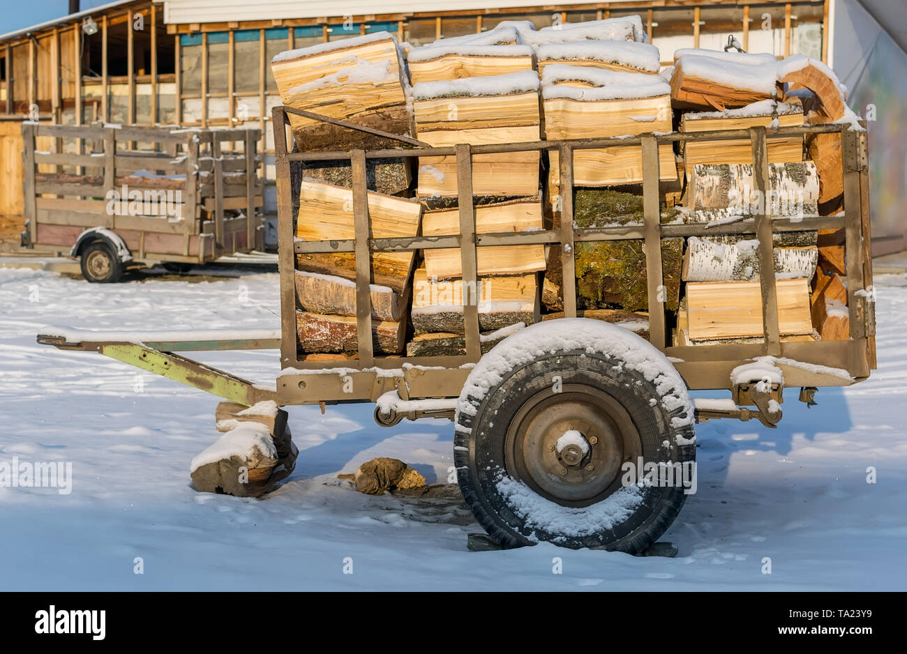 Carro, tráiler, de para el transporte de leña está a la en el campo la nieve en invierno Fotografía de - Alamy