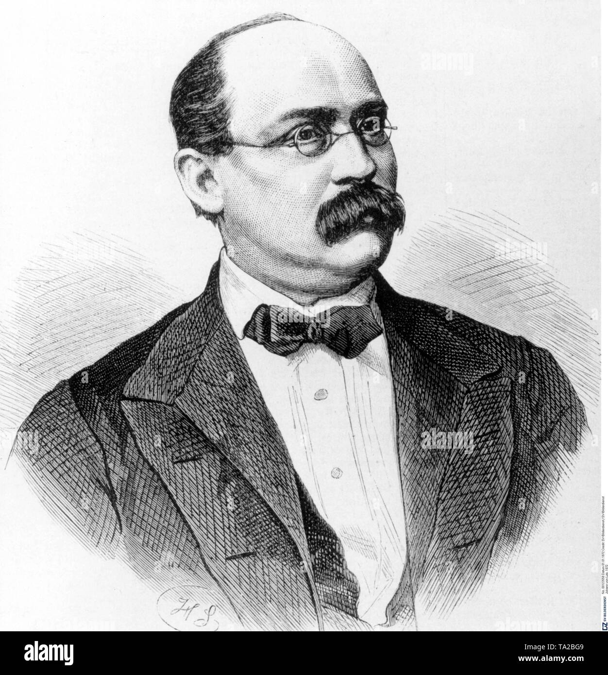 Retrato del Ministro de Cultura real bávaro, Johann Freiherr von Lutz el 1 de enero. 1872 Foto de stock