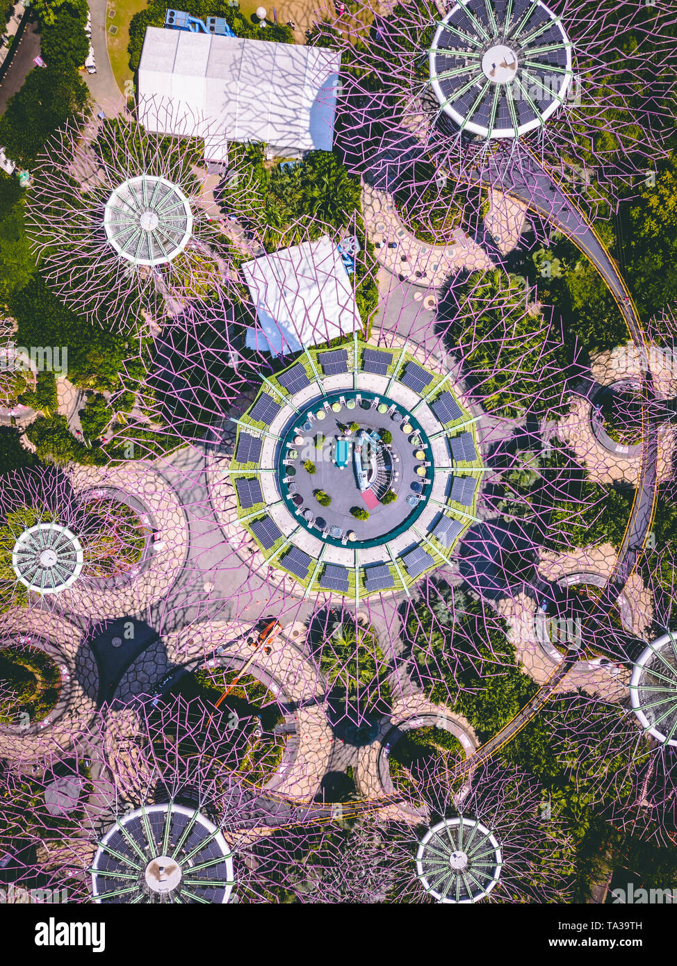 Toma aérea de la Supertree Grove en los jardines junto a la bahía, Singapur Foto de stock