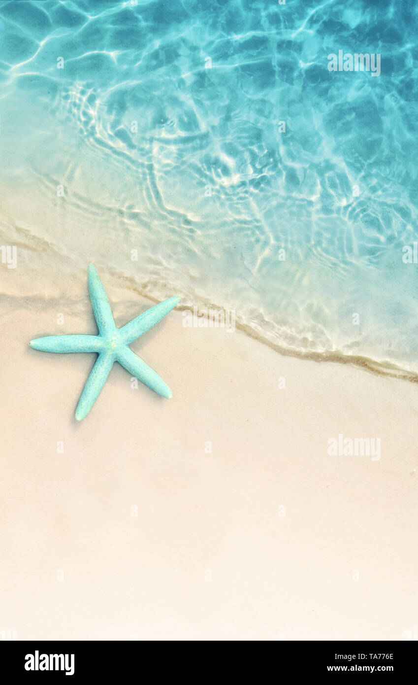 Starfish en el verano en la playa. Fondo de verano. Playa de arena tropical  Fotografía de stock - Alamy