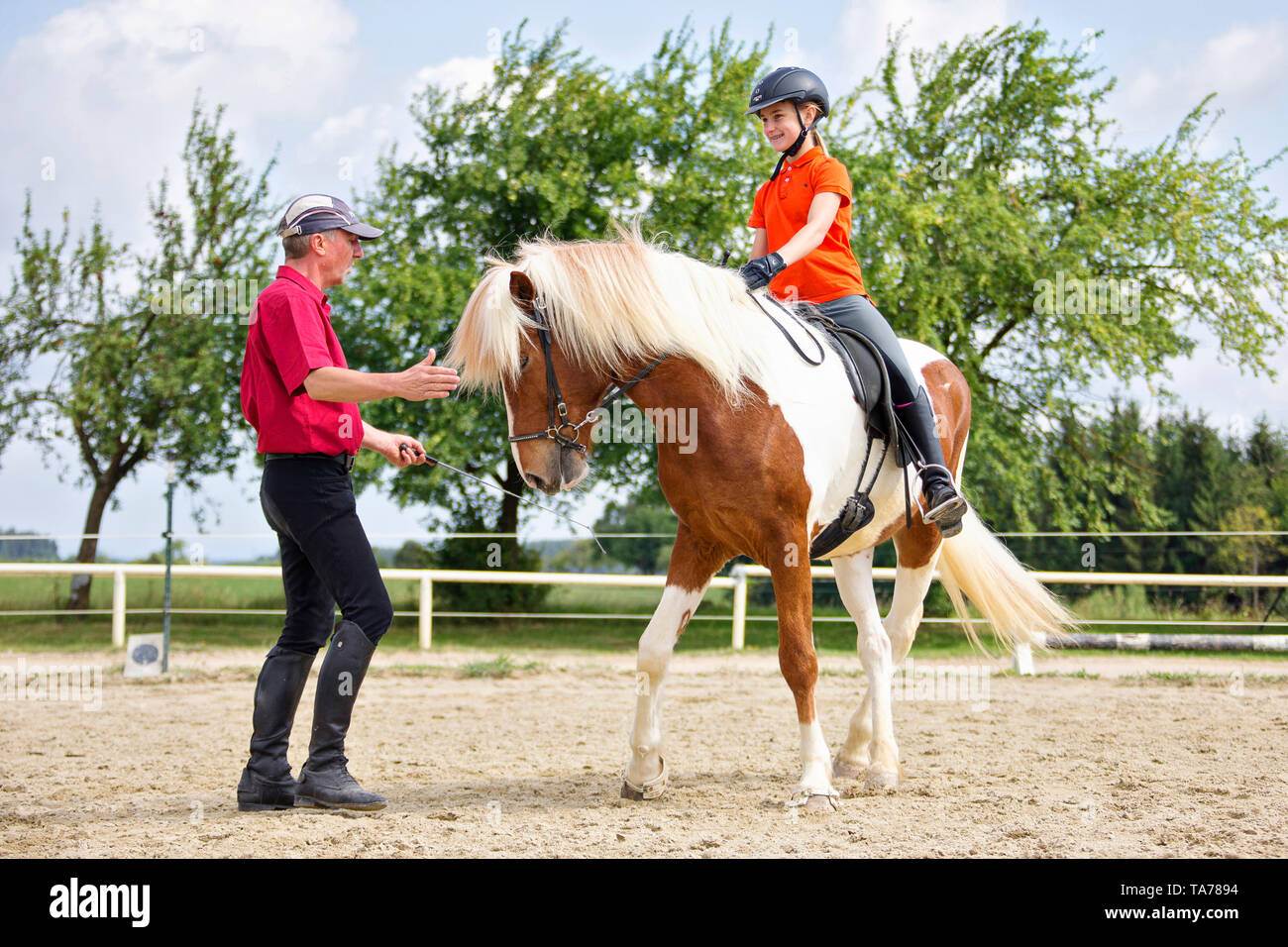 Caballo islandés. Un instructor de equitación da lecciones de una niña. Austria Foto de stock