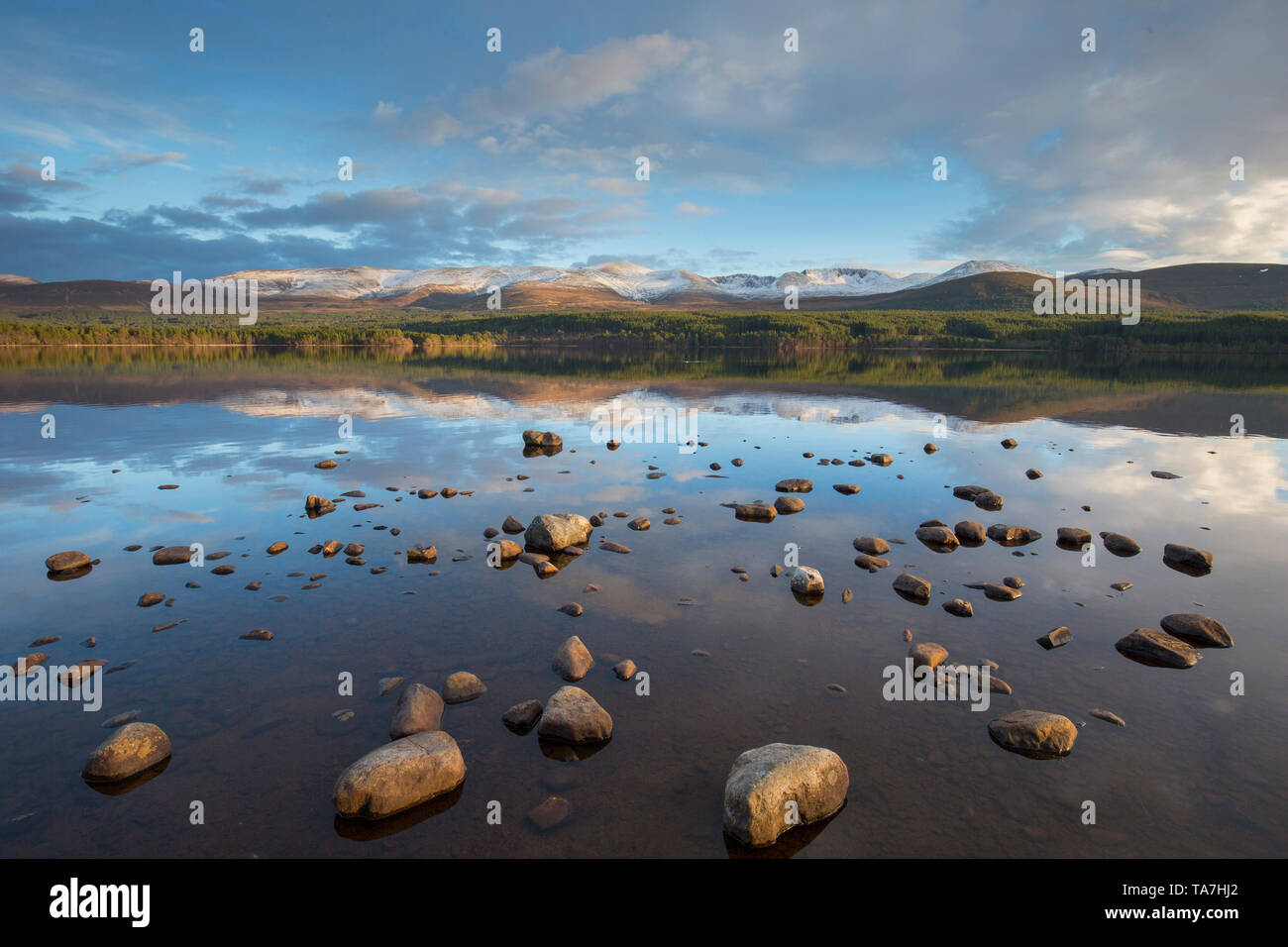 Loch Morlich. El Parque Nacional de Cairngorms, Escocia, Gran Bretaña Foto de stock