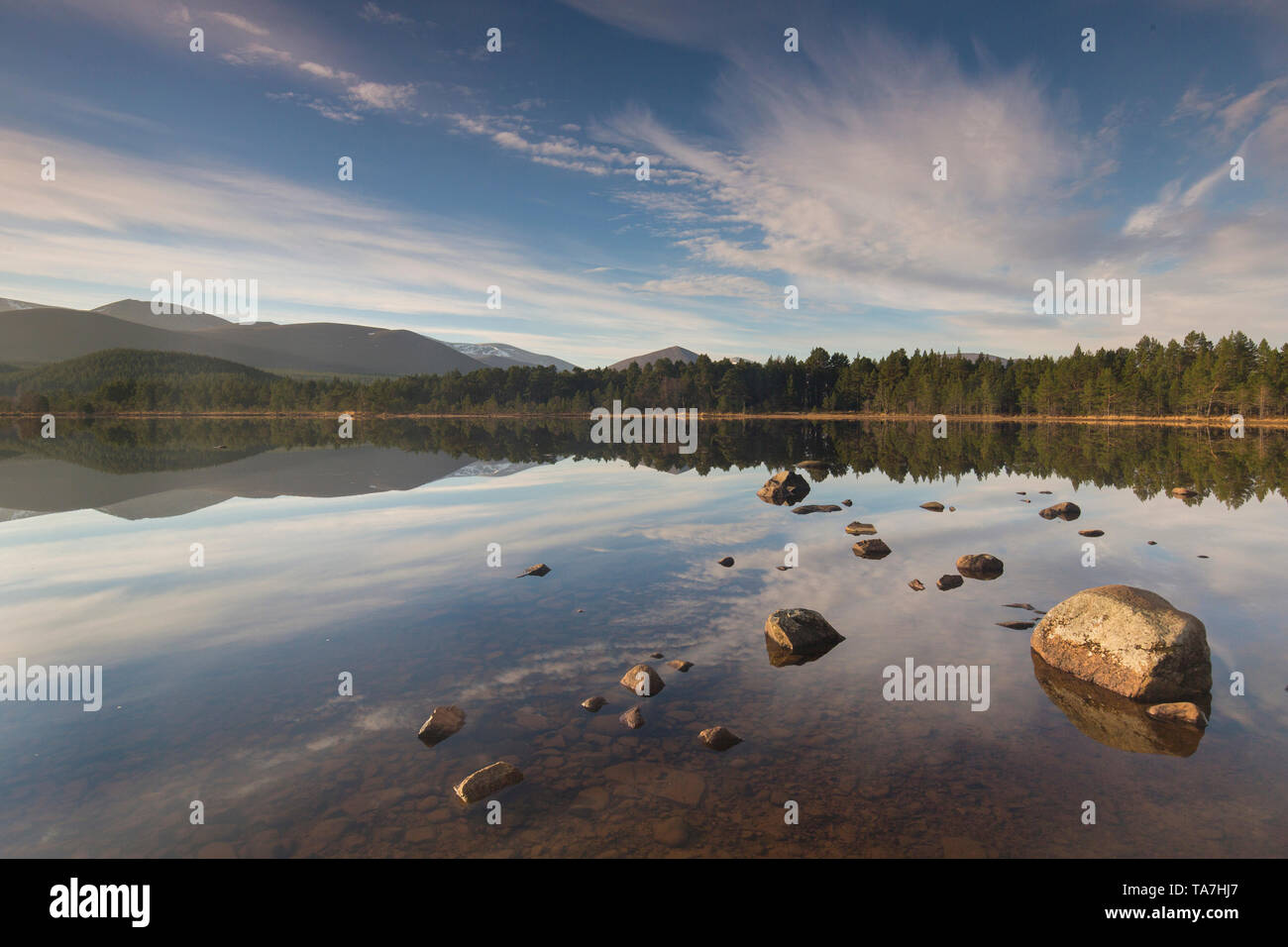 Loch Morlich en luz del atardecer. El Parque Nacional de Cairngorms, Escocia, Gran Bretaña Foto de stock