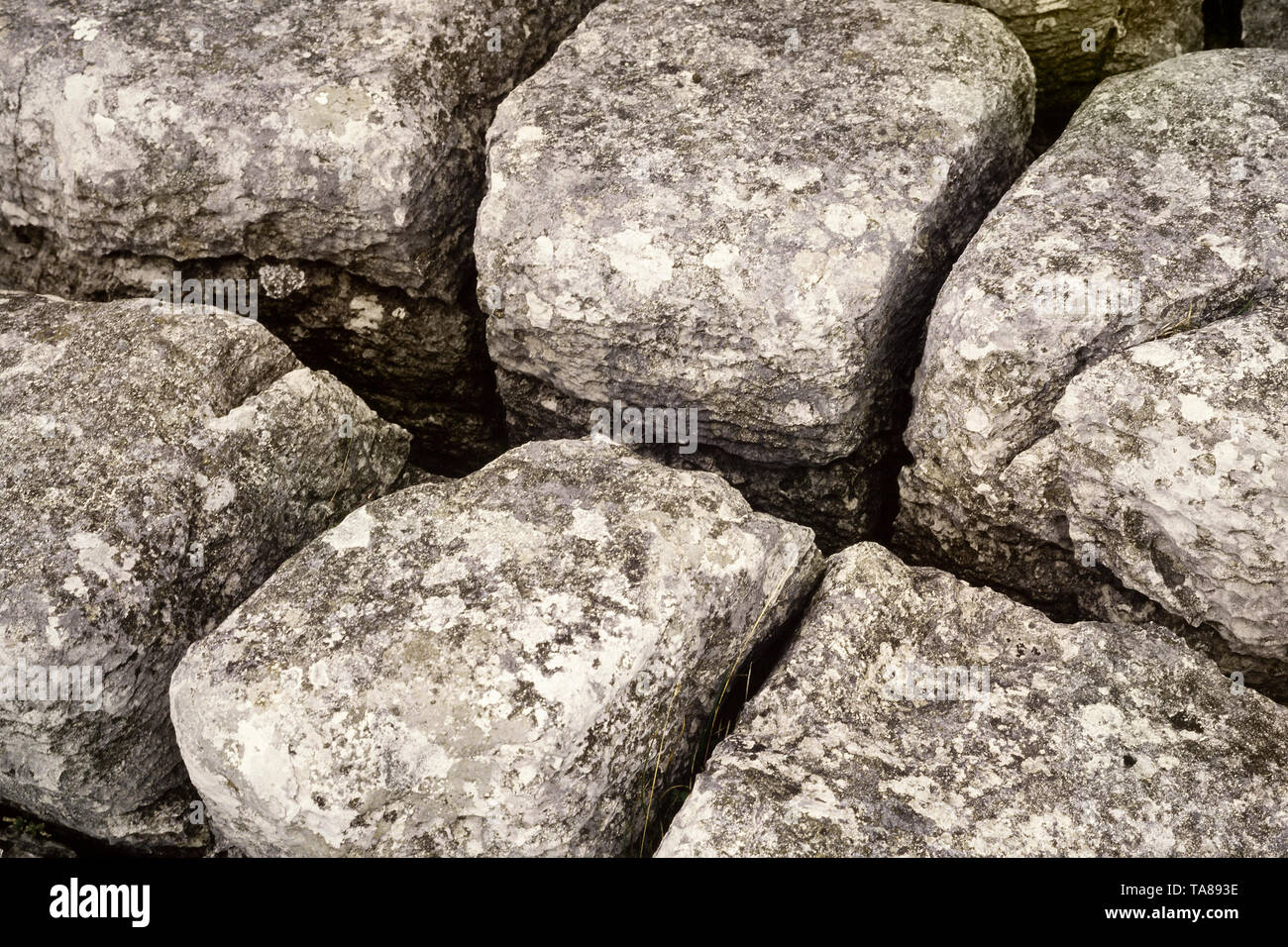 Pavimento de piedra caliza, paisajes cársticos, Malham, Yorkshire, Reino Unido. Clints & Grikes Foto de stock