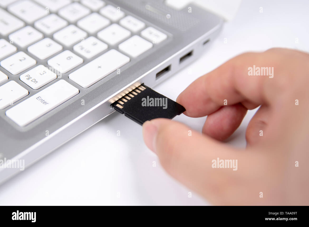 Mano humana conectar una tarjeta SD en el ordenador portátil sobre fondo  blanco Fotografía de stock - Alamy