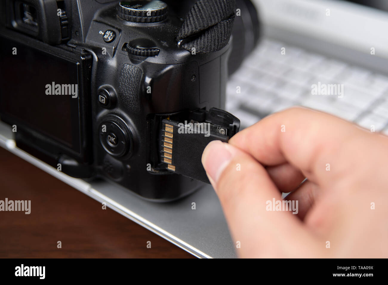 Fotógrafo mano sujetando inserte memoria SD de la cámara DSLR Fotografía de stock - Alamy