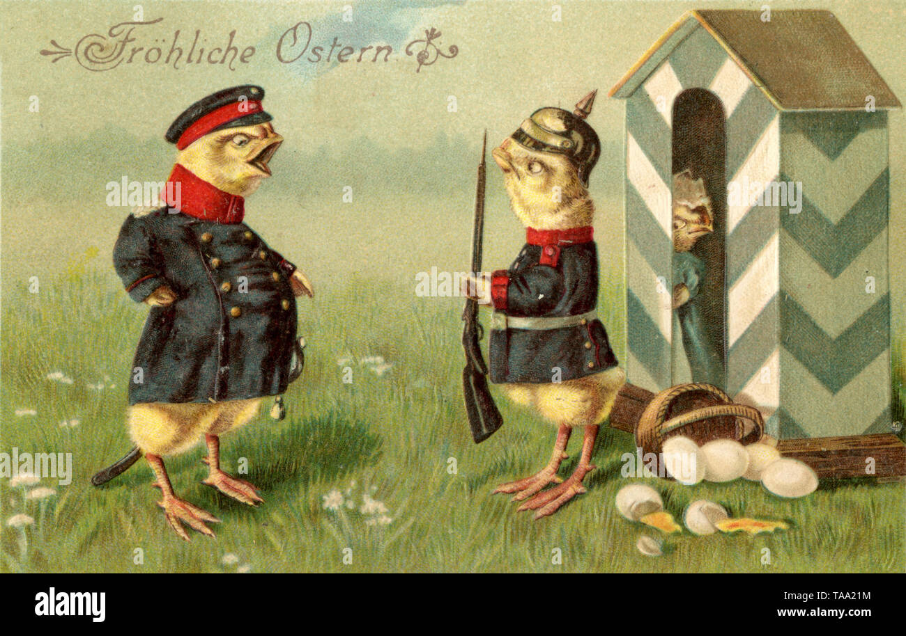 Los polluelos como soldados , (postal, ) Foto de stock