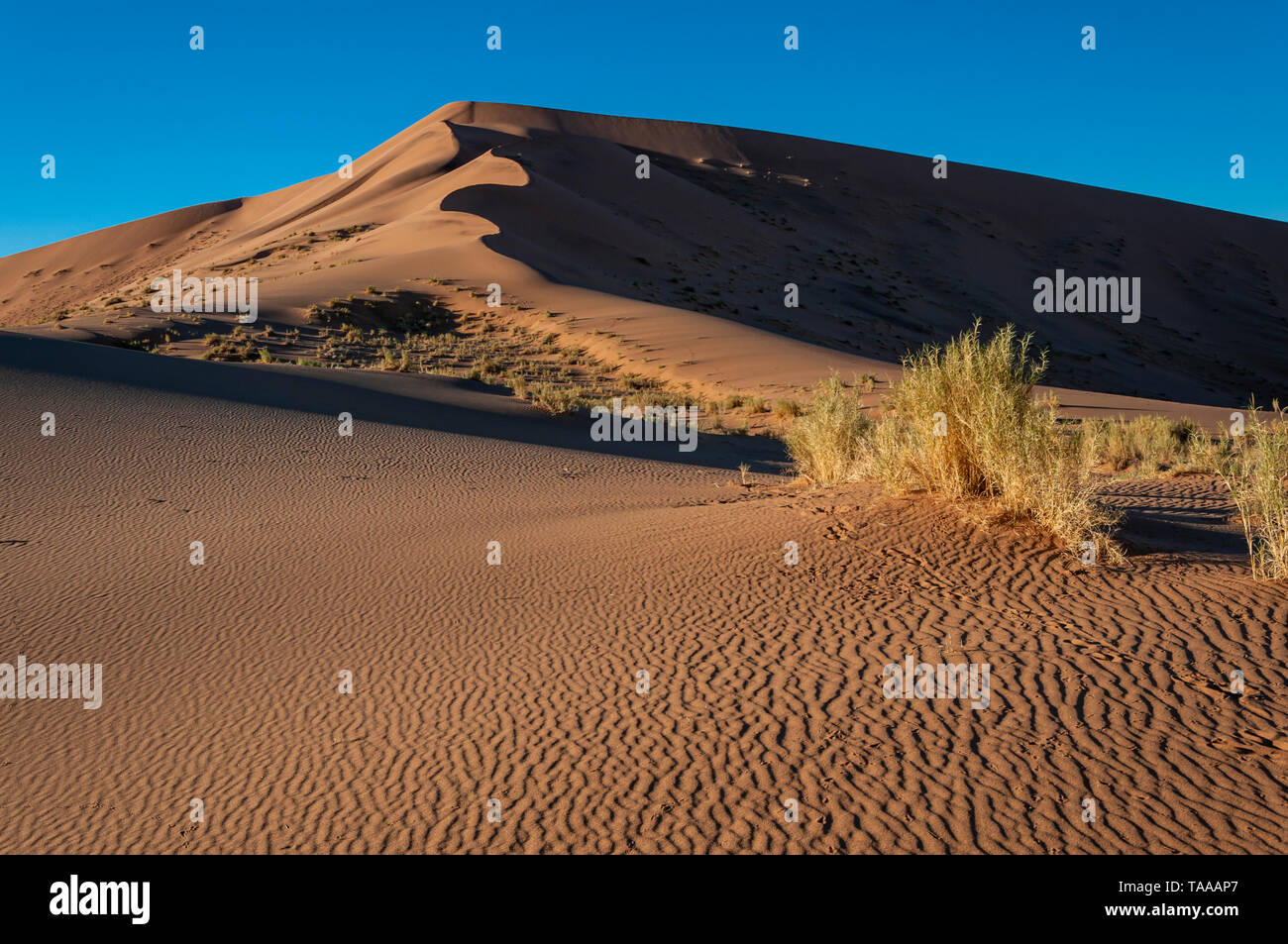 Dunas del desierto de Namib de Namibia. Foto de stock
