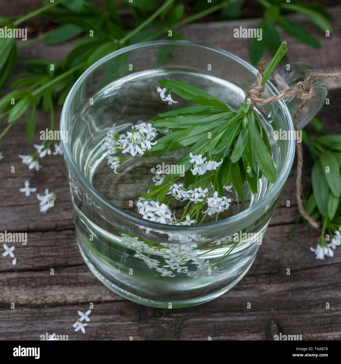 Waldmeister tee fotografías e imágenes de alta resolución - Alamy