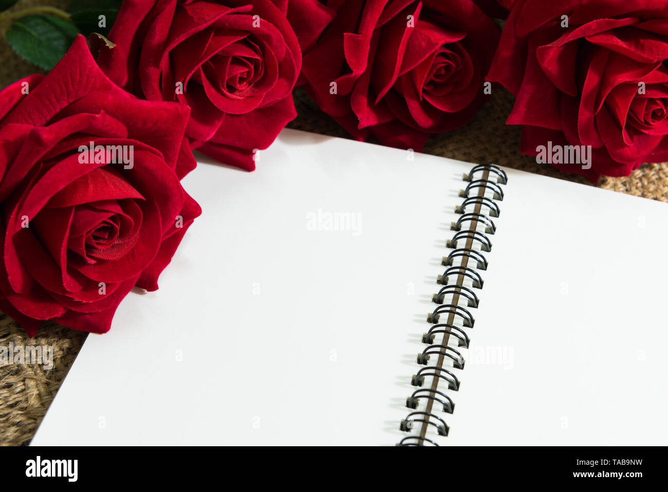 Hogar hecho con páginas de libro. San Valentín concepto con rosas rojas  Fotografía de stock - Alamy