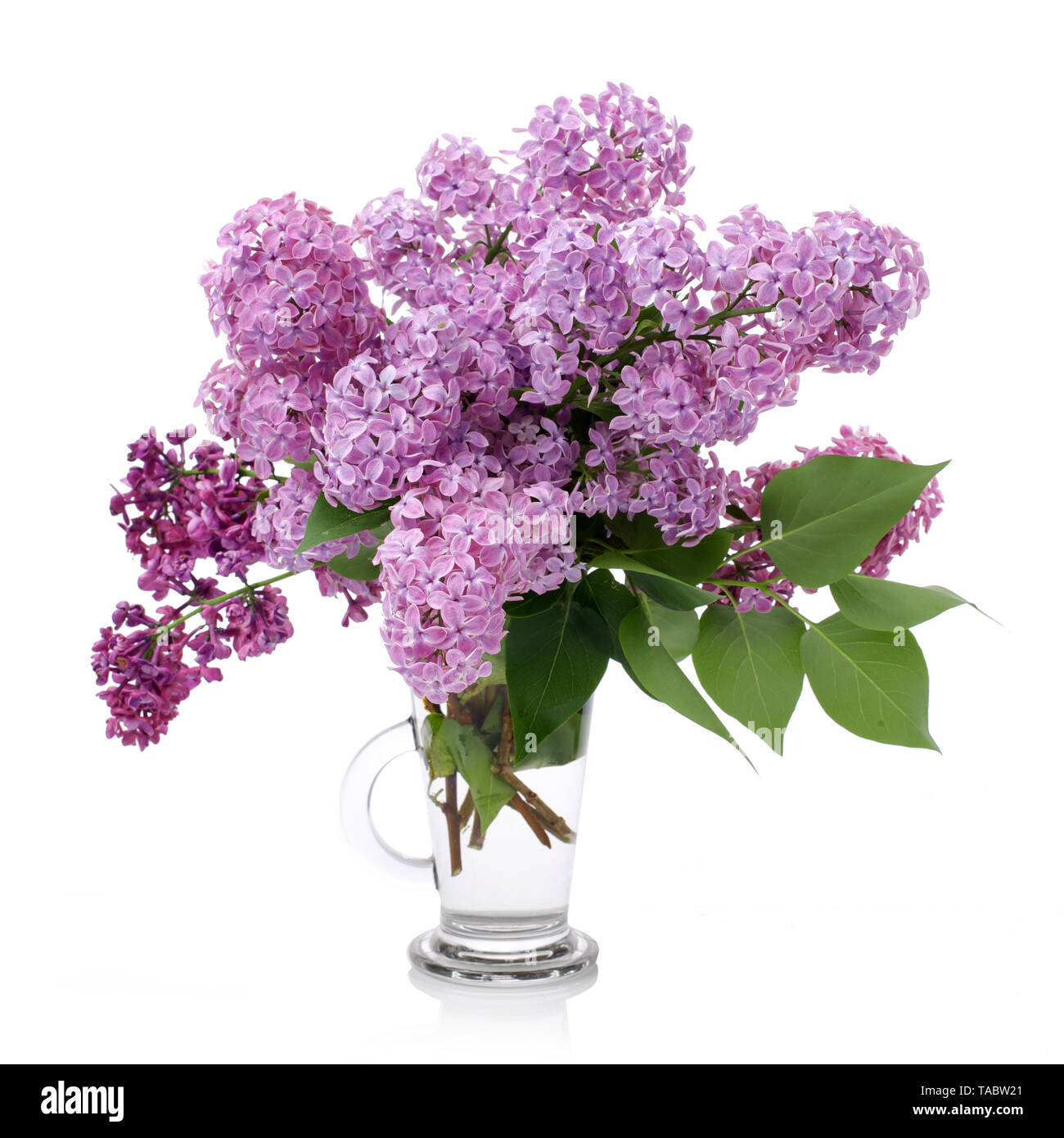 Ramo de lilas en un vaso de vidrio aislado en blanco. Rama con flores de color lila. Foto de stock