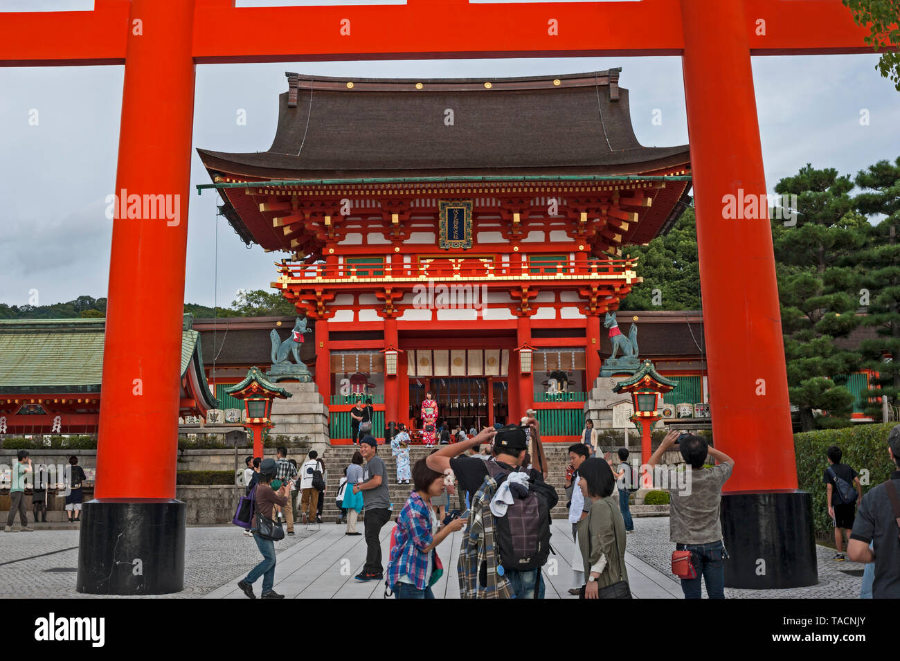 Sorprendentemente ornamentada Fushimi inara y santuario sintoísta Torii (puerta de entrada) en el sur de Kyoto, Japón Foto de stock