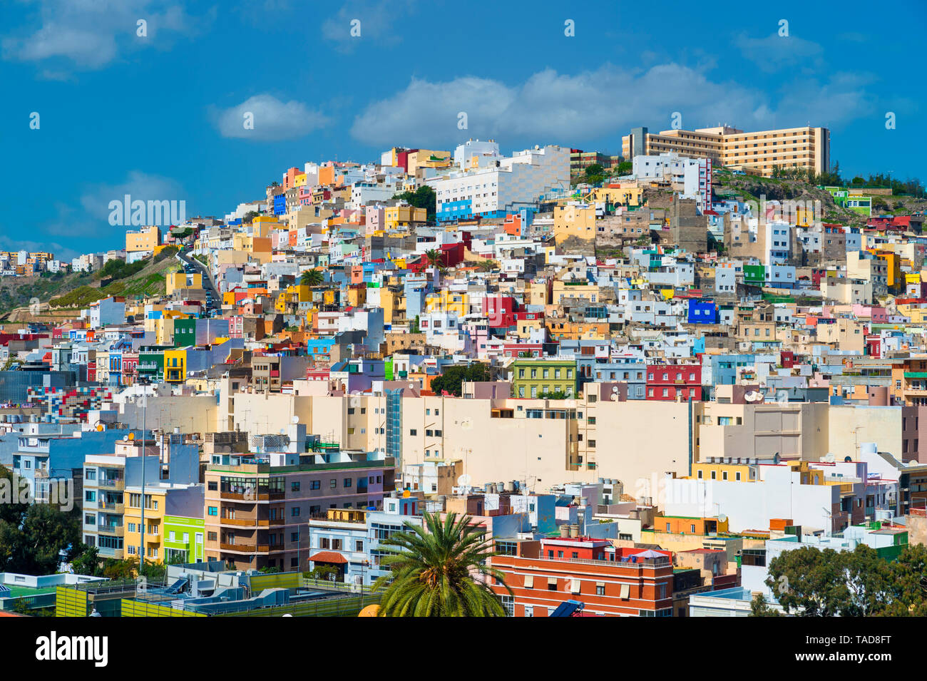 España, Islas Canarias, Gran Canaria, Las Palmas, vecindario Fotografía de  stock - Alamy