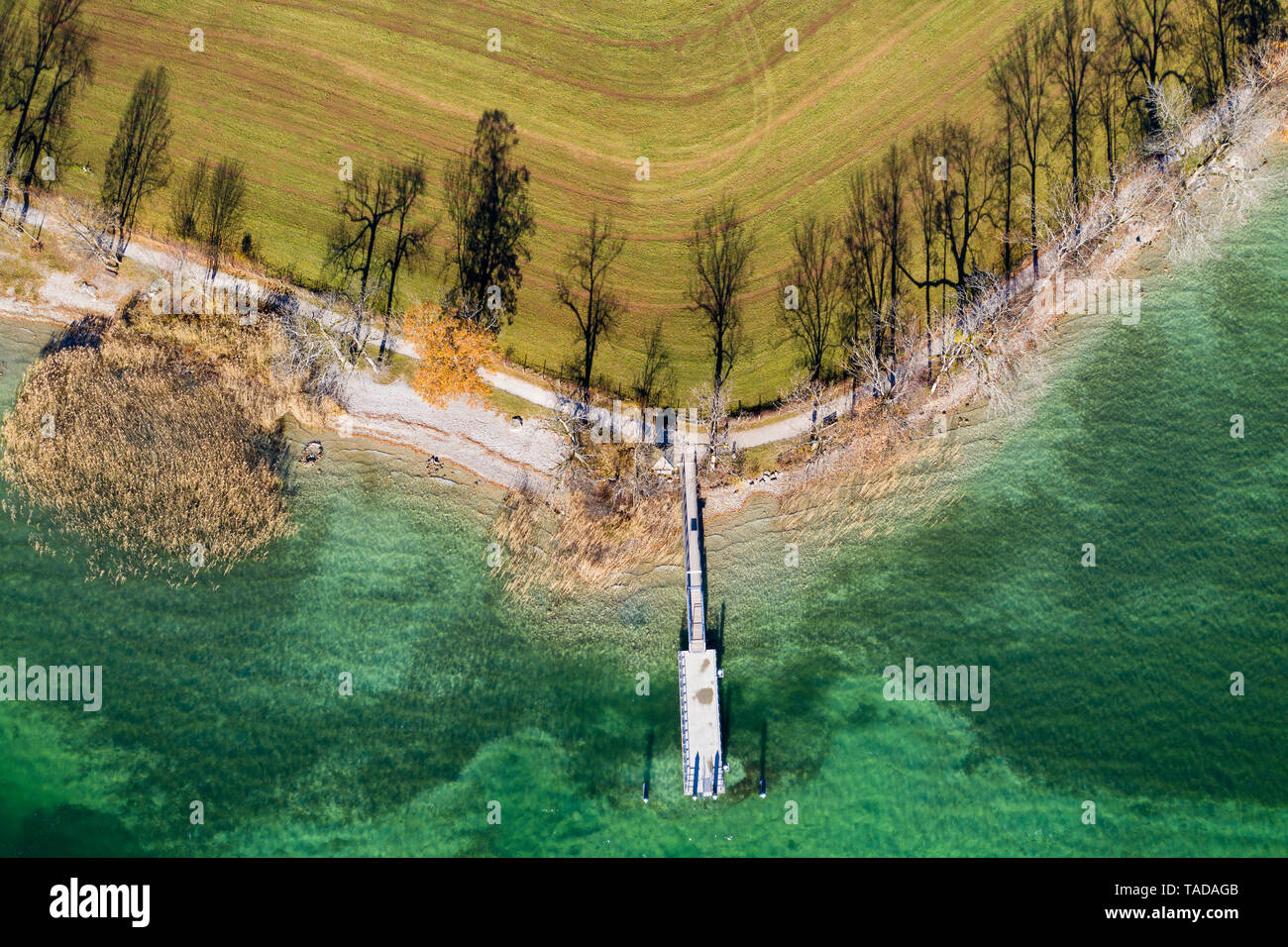 Alemania, Baviera, Kaltenbrunn, Tegernsee, las sombras de los árboles en las orillas del lago y embarcadero, vista aérea Foto de stock