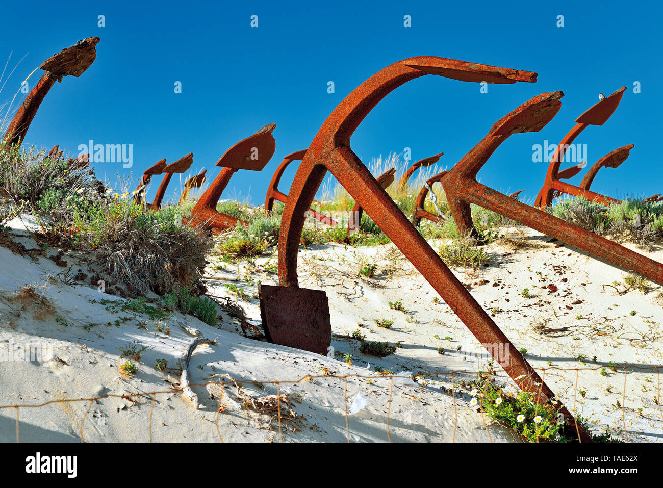 Docenas de anclajes acostado en una duna de arena contrastando con el cielo azul Foto de stock