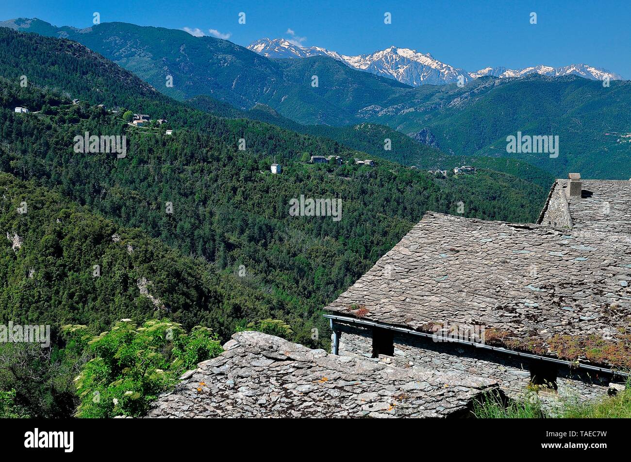 Desde la aldea de Morosaglia, vistas a los picos de alta Córcega (Monte  Cinto, etc Fotografía de stock - Alamy