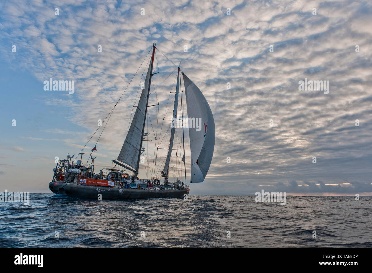 Tara Oceans Expeditions - Mayo de 2011. Velero Tara; Guayaquil-Galapagos pierna; Ecuador Foto de stock
