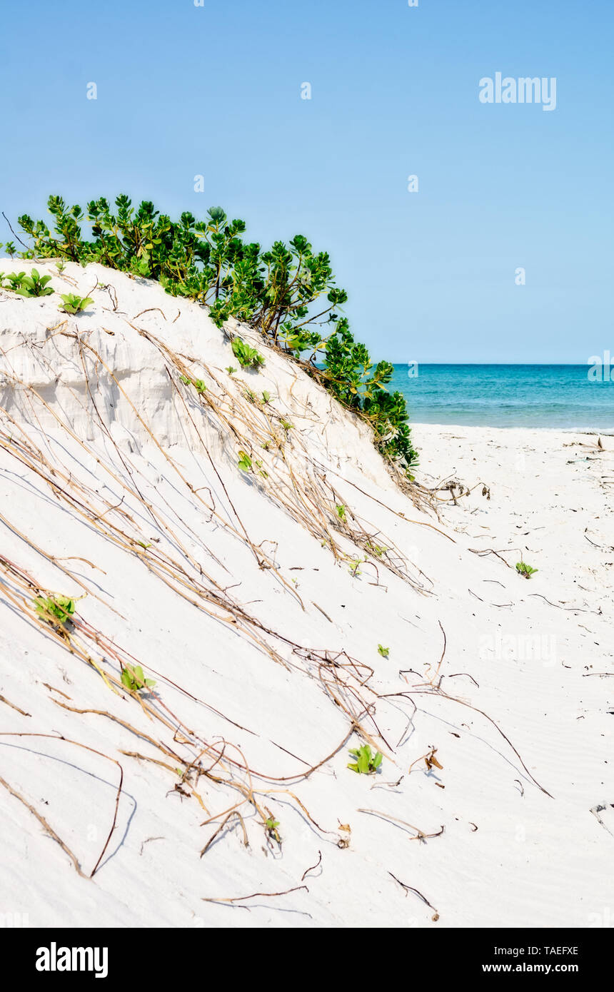 fondo de playa blanca