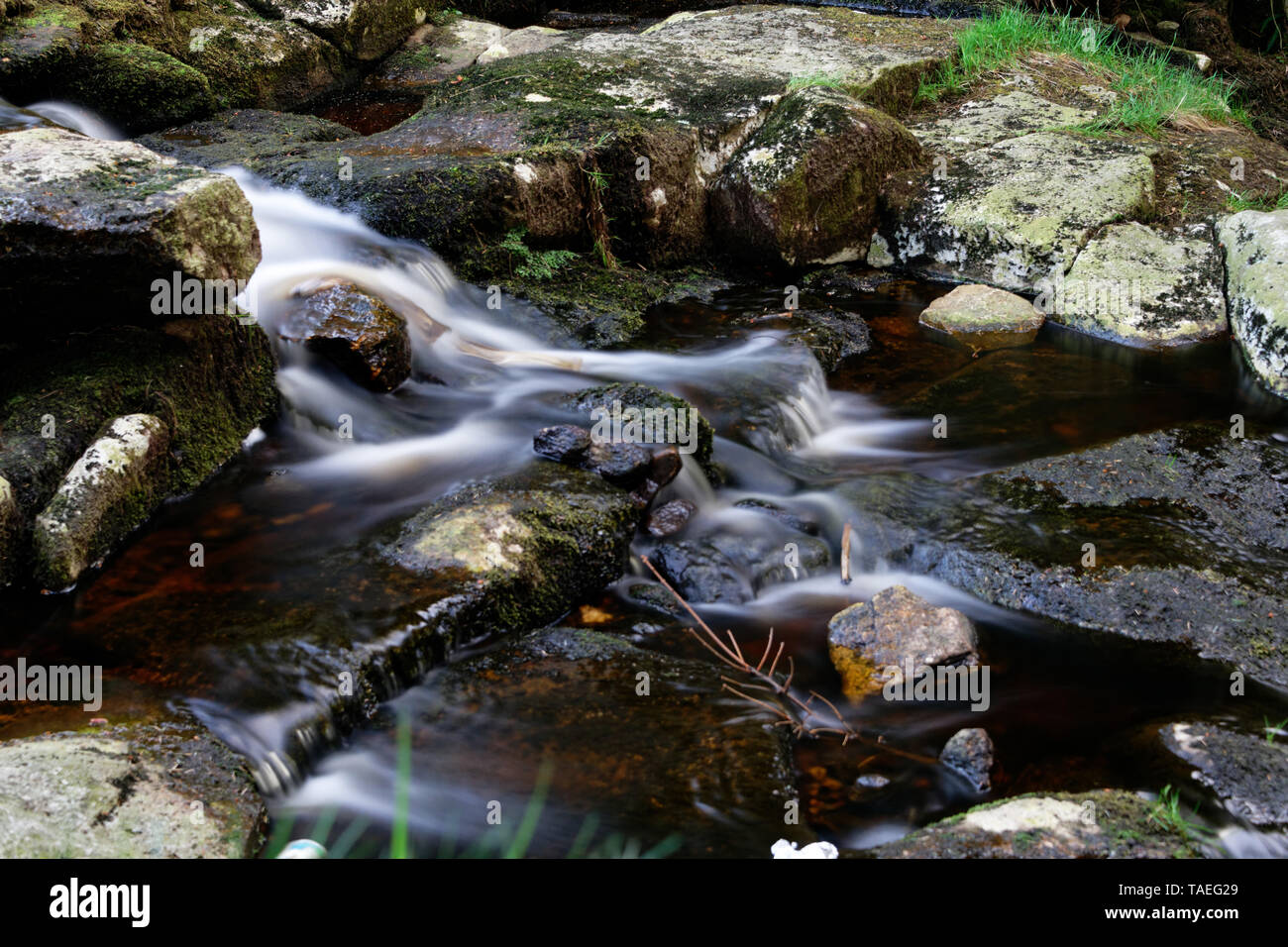 El arroyo de la montaña en los montajes de Wicklow, Irlanda Foto de stock
