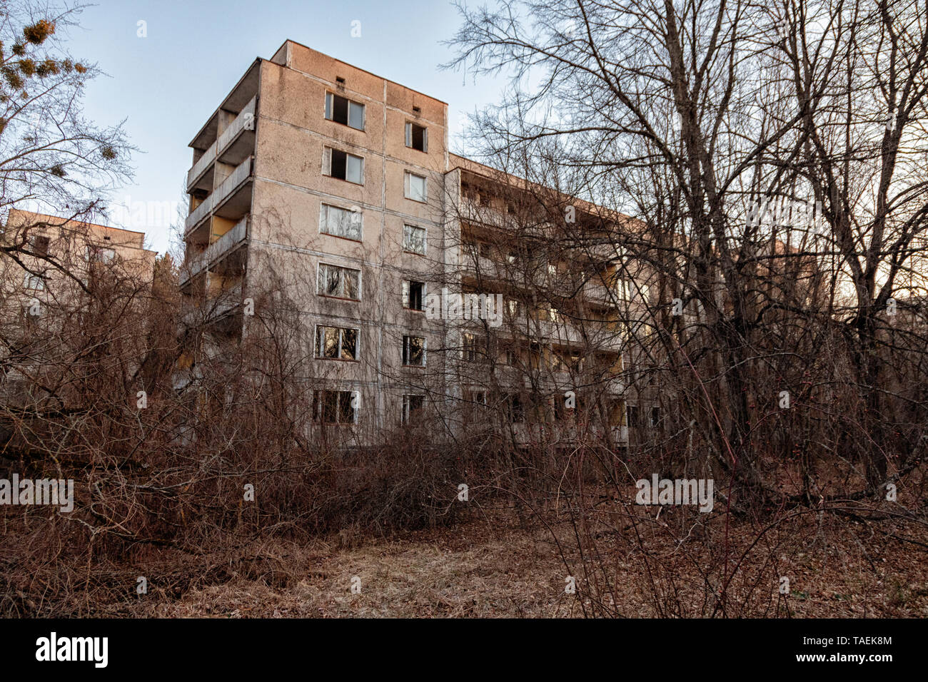 En Pripyat, Ucrania, dentro de la zona de exclusión de Chernobyl Foto de stock
