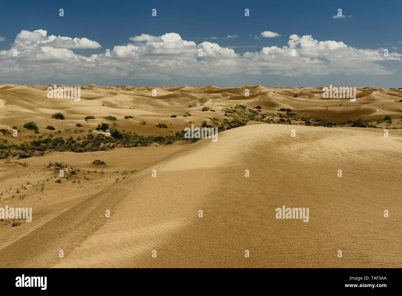 Hermoso desierto de dunas en la estepa paisajes cerca de la provincia de Mangistau, Aktau, Kazajstán. Foto de stock