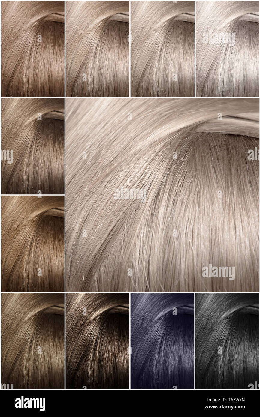 Paleta De Colores De Cabello Con Una Amplia Gama De Muestras