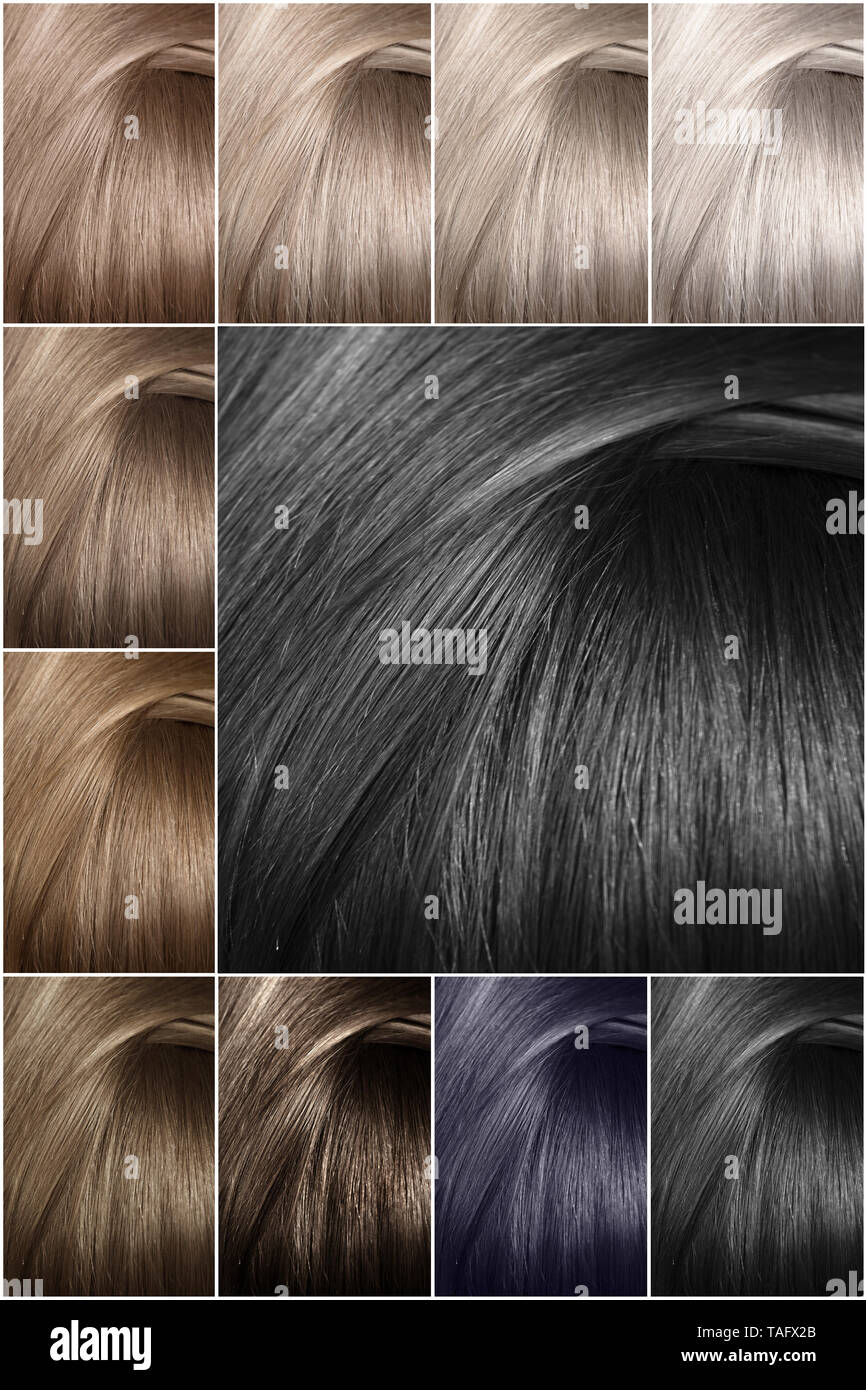 Paleta de colores de cabello con una amplia gama de muestras. Las muestras  de cabello pintado de colores. Sombras de colores fríos. La textura del  cabello en diferentes colores Fotografía de stock -