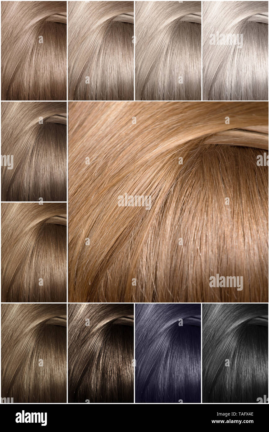 Paleta de colores de cabello con una amplia gama de muestras. Las muestras de cabello pintado de colores. Sombras de colores fríos. La textura del cabello en diferentes colores. Foto de stock