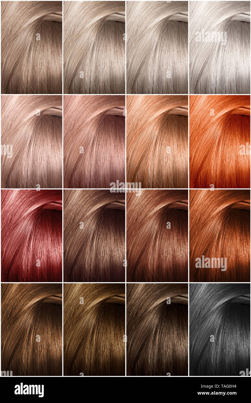 Paleta de colores de cabello con una amplia gama de muestras. Las muestras de cabello teñido tintes. La textura del cabello en diferentes colores. Foto de stock