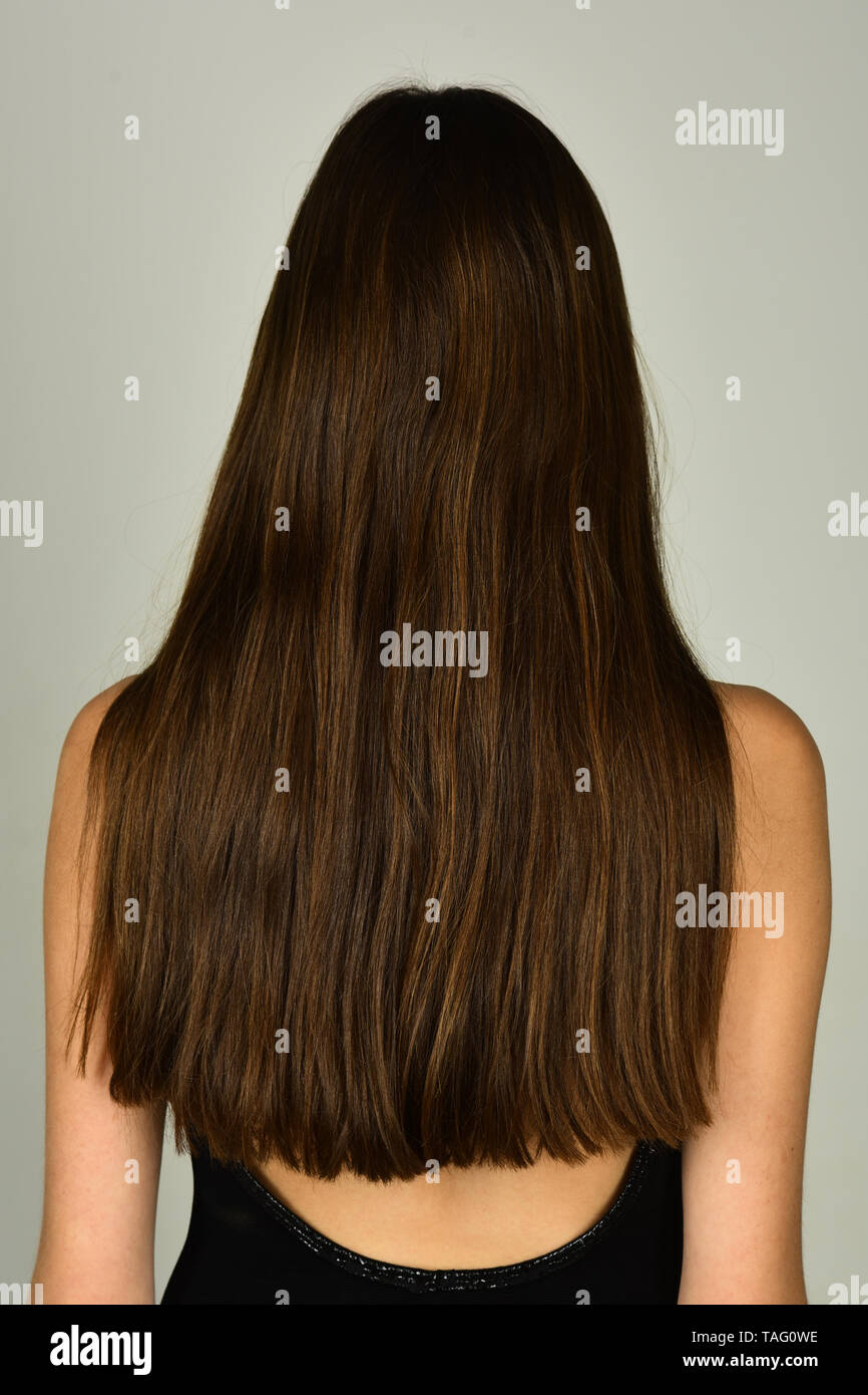 Mujer con largo cabello morena, vista posterior. Chica con cabello sano, el  peinado. Concepto de salón de belleza. Cuidado del pelo, peluquería, champú  Fotografía de stock - Alamy