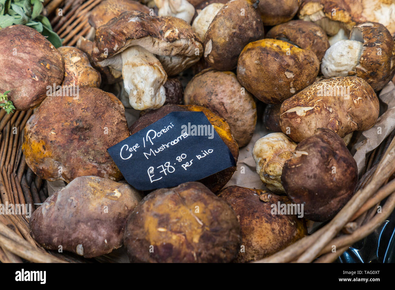 Porcini/Ceps setas orgánicas frescas en la pantalla interior en canasta rústica precio de £78.80 pr kilo de especialidades delicatessen de alta calidad en el mercado de Borough de Southwark, Londres, Gran Bretaña. Foto de stock