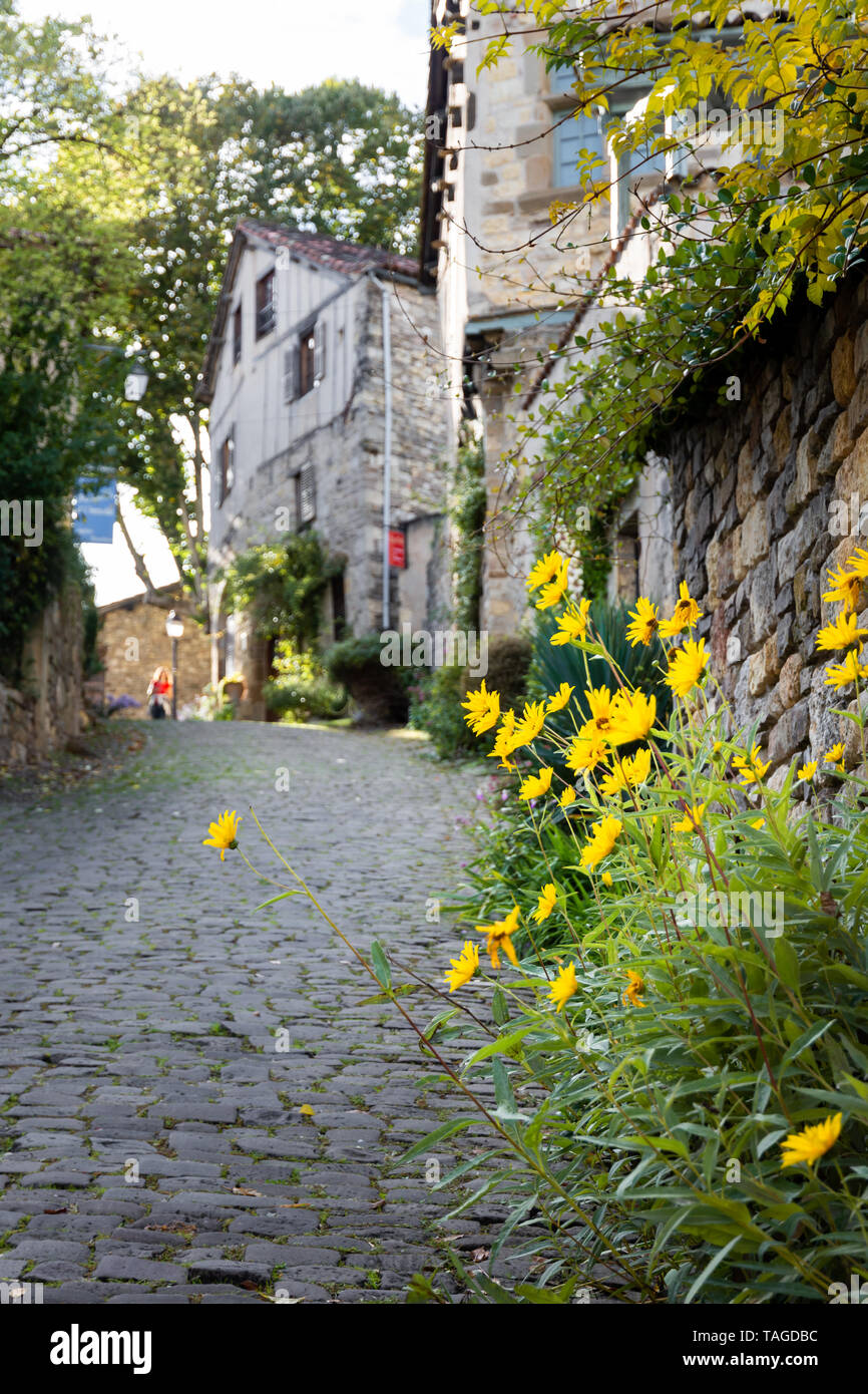 Flores amarillas a lo largo de una calle de adoquines en una bonita aldea francesa Foto de stock