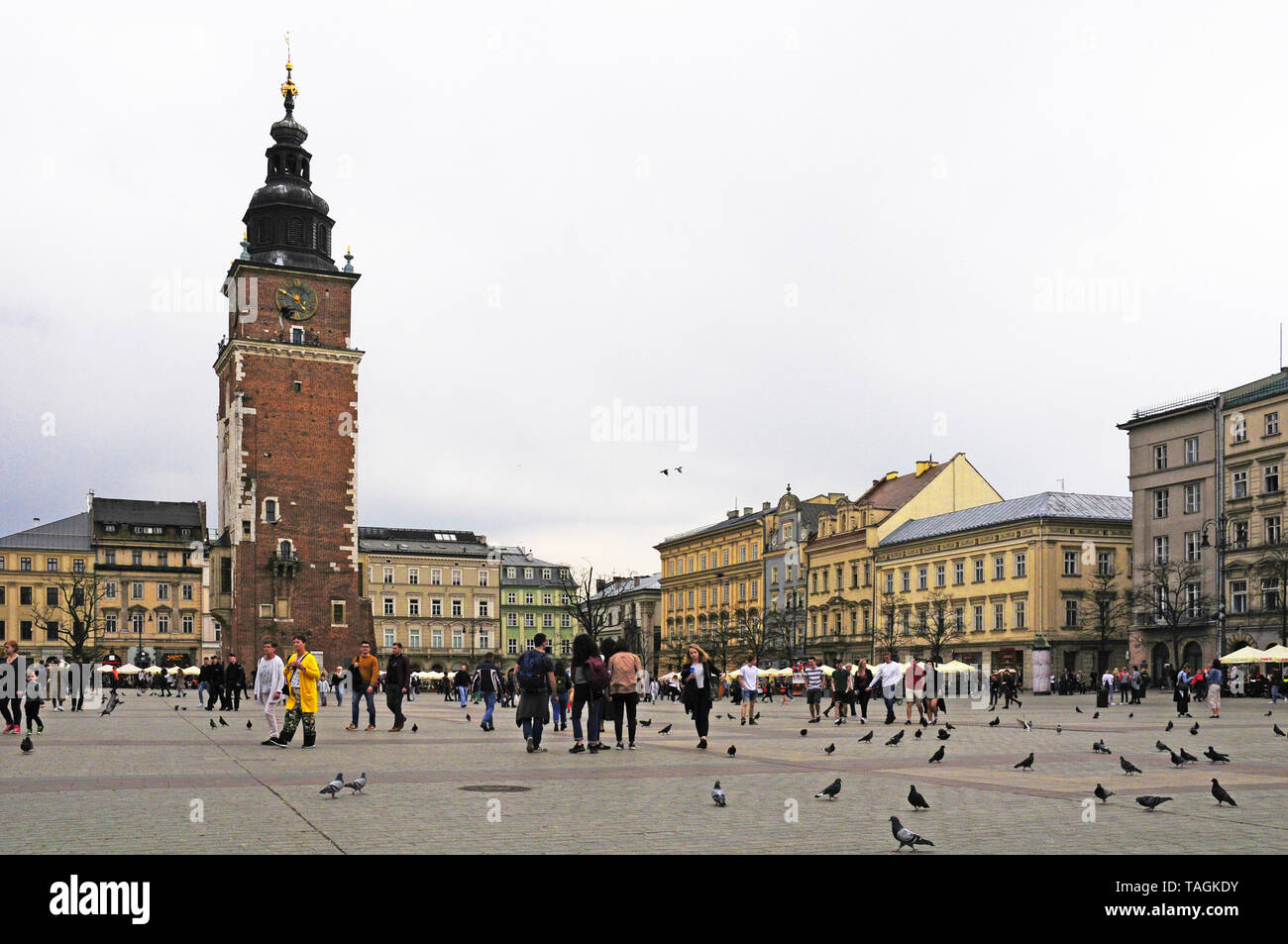 Plaza de la Ciudad Vieja y la torre del ayuntamiento, Cracovia, Polonia. Foto de stock