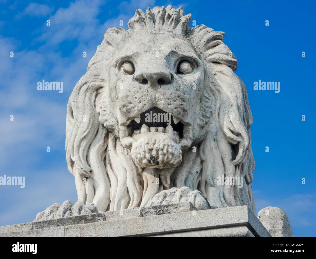Cerca de la estatua de un león en un puente en Budapest Foto de stock