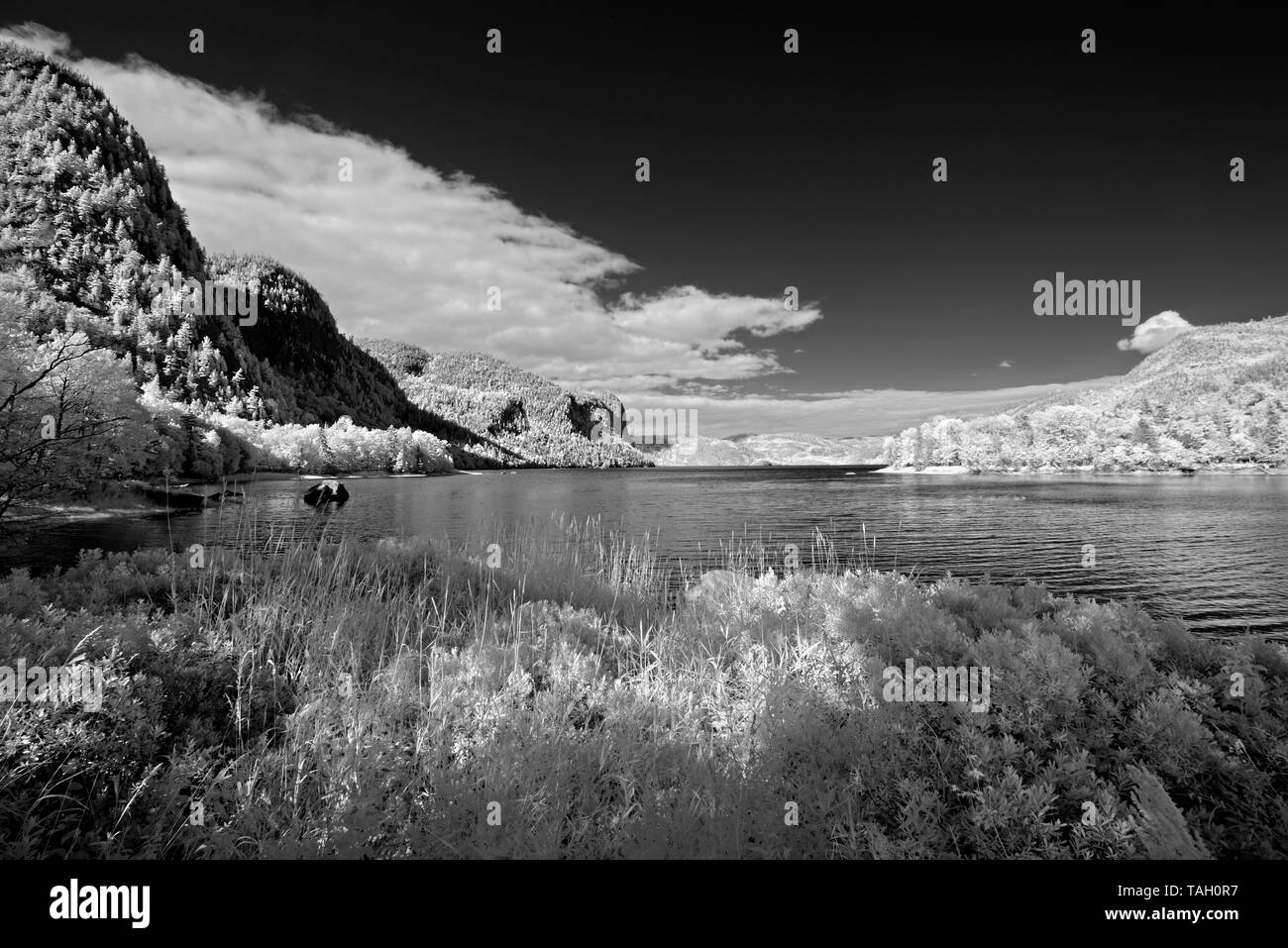 Costa en Bahía de él río Saguenay Parc national du-du-Fiordo Saguenay Quebec Canada Foto de stock