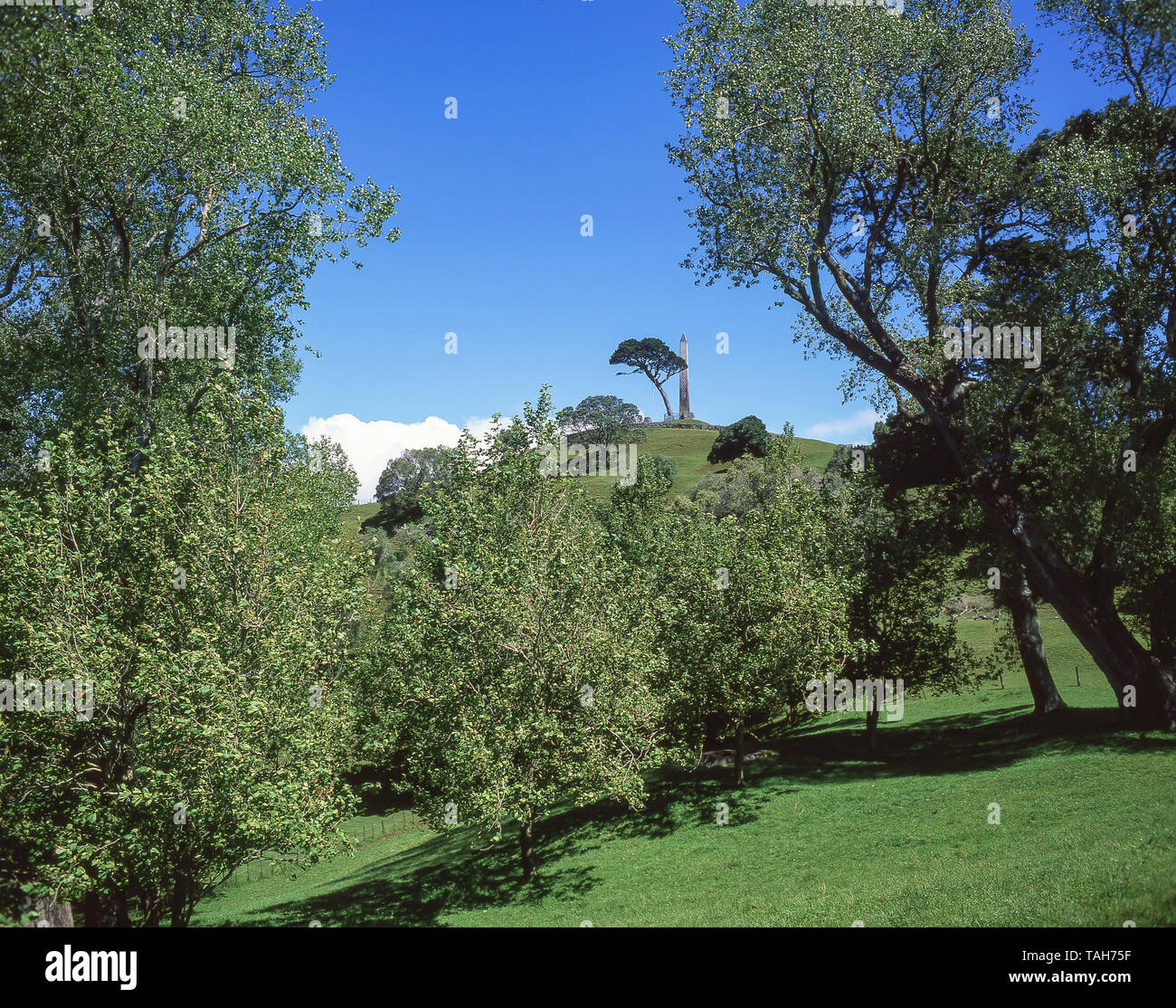 One Tree Hill (Maungakiekie), One Tree Hill, Auckland, región de Auckland, Nueva Zelanda Foto de stock