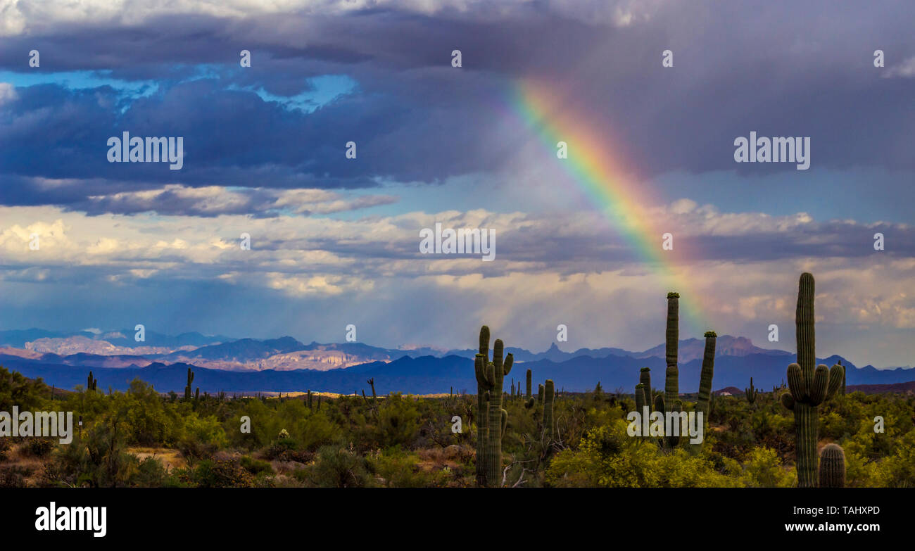 Amplio ángulo de imagen horizontal del Arco Iris del desierto con cactus y montañas. Foto de stock