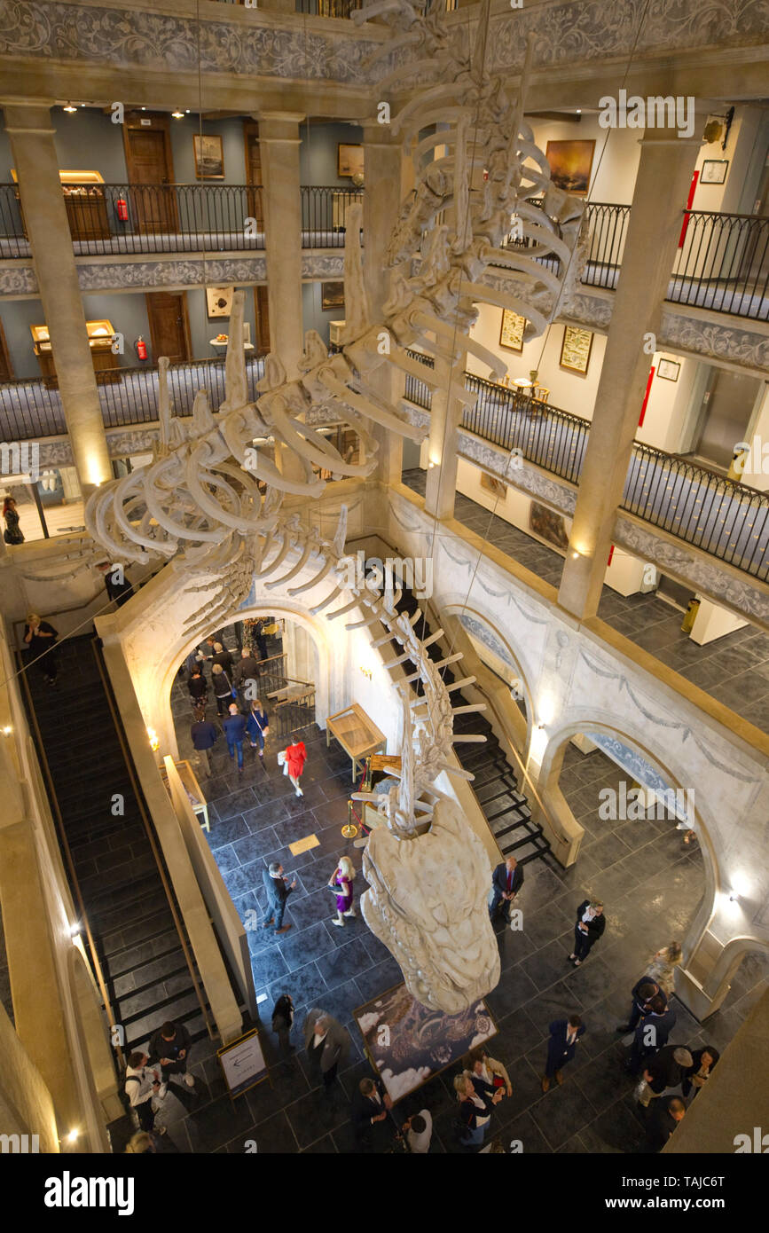 Rust, Alemania - 24 de mayo de 2019: Nuevo Hotel Kronasar abre al Europa-Park, vestíbulo con el esqueleto del dinosaurio gigante. Skelett, Dinosaurier, Europapark | uso en todo el mundo Foto de stock