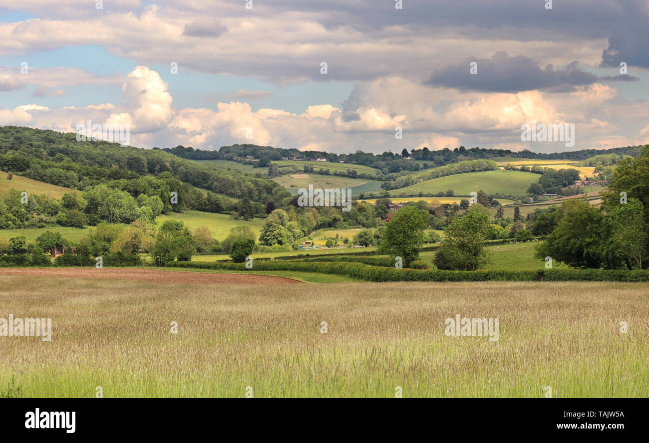 Un paisaje rural inglesa en las colinas de Chiltern Foto de stock