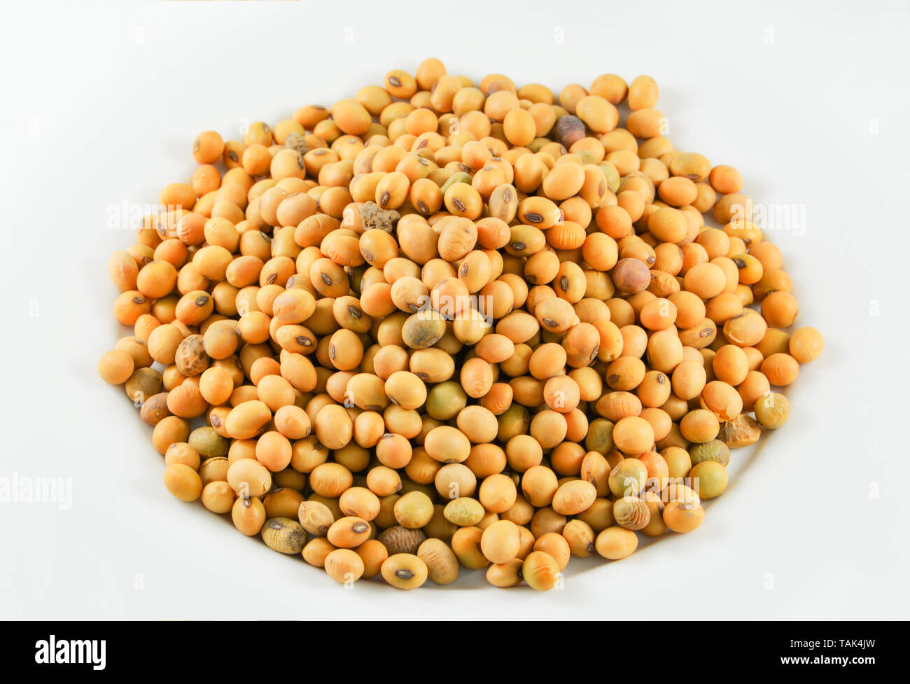 La soya o soja Semillas Grano sobre fondo blanco Fotografía de