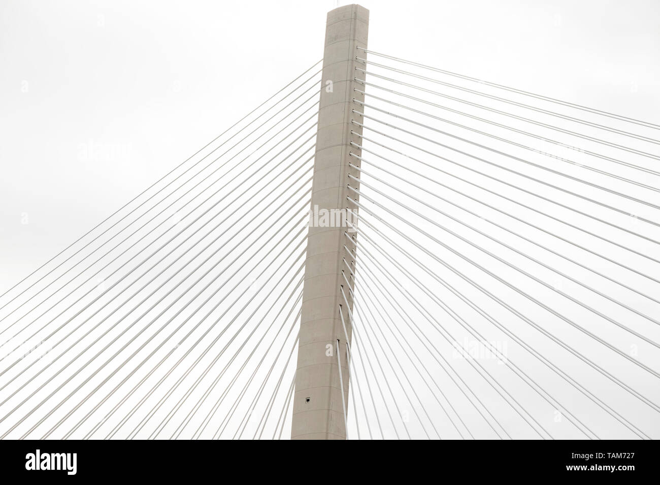 Detalle de nuevo cruce de Queensferry Road Bridge mostrando cables, cerca de Edimburgo, Escocia, Reino Unido Foto de stock