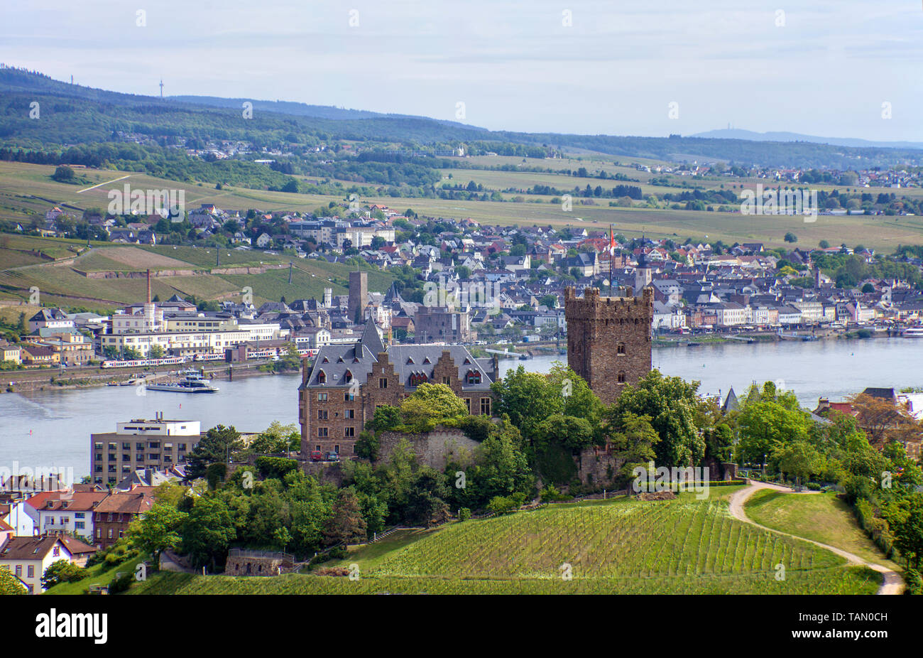 Klopp castillo en Bingen, vista en Ruedesheim al otro lado del Rin, el Alto Valle del Rin Medio, Renania-Palatinado, Alemania Foto de stock