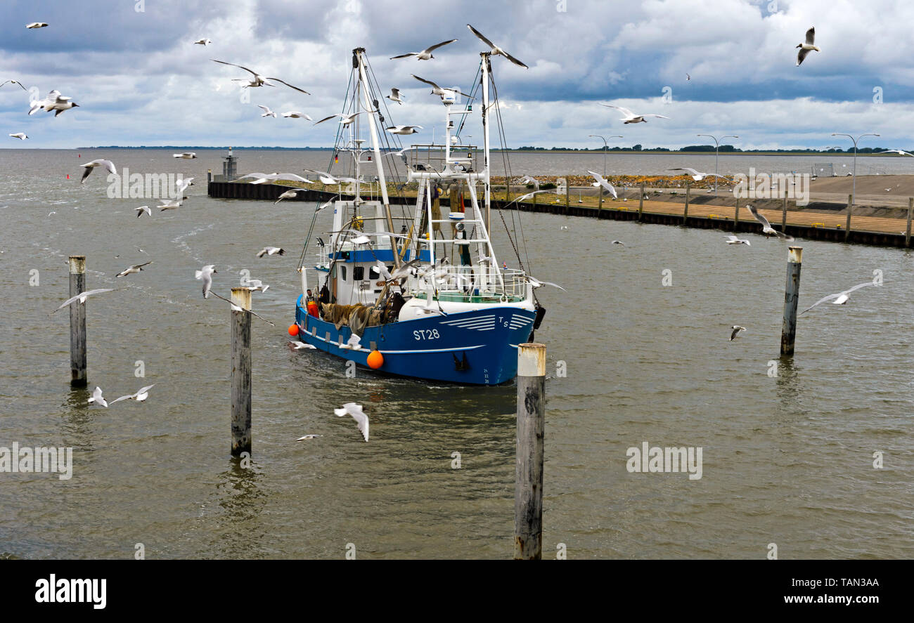 Arrastrero ST 28 Glückauf entrando en la desembocadura del río Eider, Tönning, Schleswig-Holstein, Alemania Foto de stock