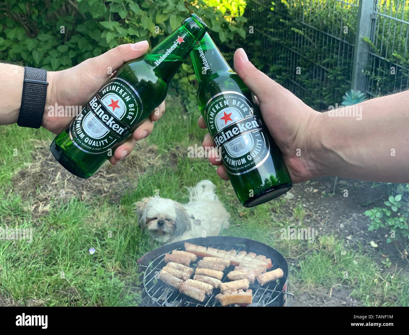 Brindando con cerveza Heineken Closeup manos capturar al partido de barbacoa en el jardín Foto de stock