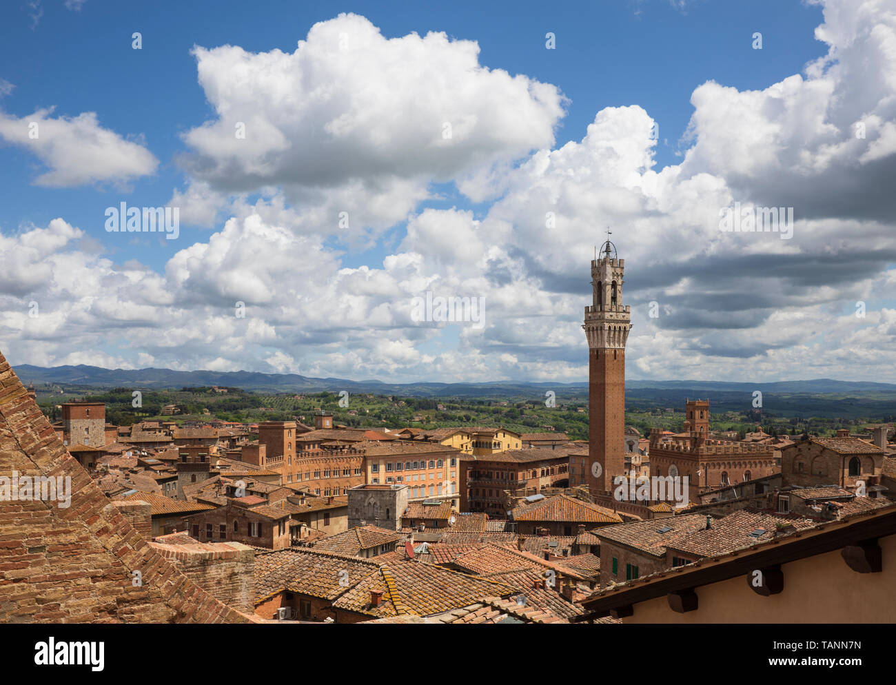 Vista de la torre del palacio Pubblico y azoteas desde el techo del Duomo di Siena, Siena, provincia de Siena, Toscana, Italia, Europa Foto de stock