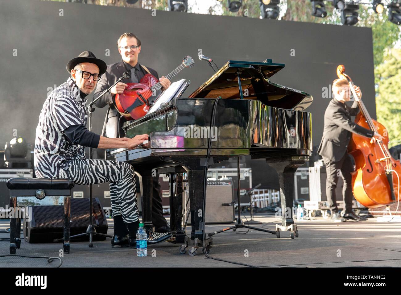 Mayo 26, 2019 - Napa, California, EE.UU. - Jeff Goldblum durante el Festival de Música BottleRock en Napa, California (Crédito de la Imagen: © Daniel DeSlover/ZUMA Wire) Foto de stock